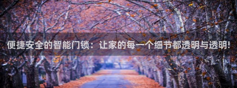 开丰娱乐登入地址在哪儿：便捷安全的智能门锁：让家的每一个细节