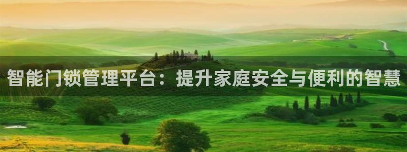 开丰娱乐官网平台电话：智能门锁管理平台：提升家庭安全与便利的