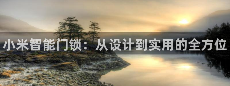 开丰娱乐月7O667：小米智能门锁：从设计到实用的全方位