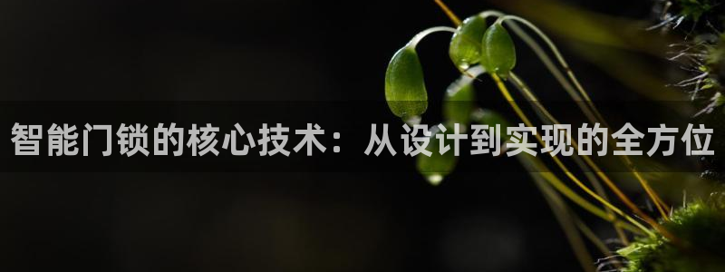 开丰娱乐登陆地址：智能门锁的核心技术：从设计到实现的全方位