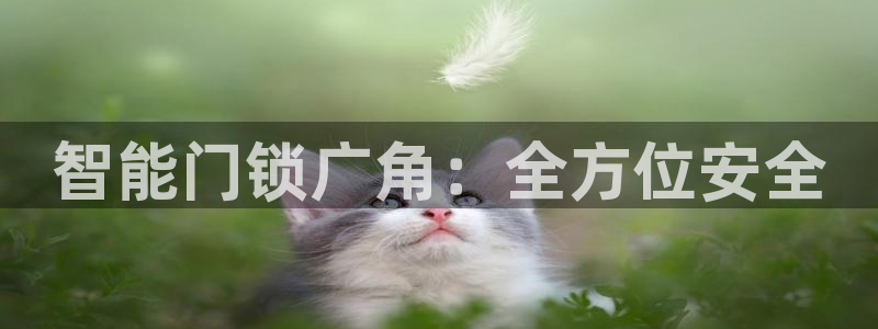 开丰娱乐地址：智能门锁广角：全方位安全