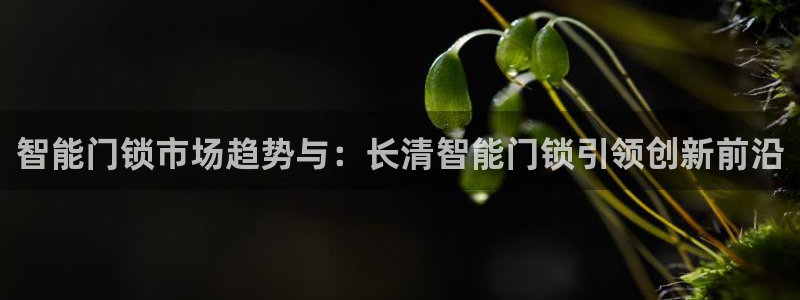 开丰娱乐登入地址查询：智能门锁市场趋势与：长清智能门锁引领创