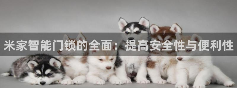 开丰娱乐主管家去判官333OO：米家智能门锁的全面：提高安全