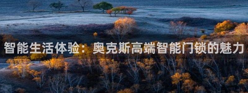开丰娱乐官网招聘：智能生活体验：奥克斯高端智能门锁的魅力