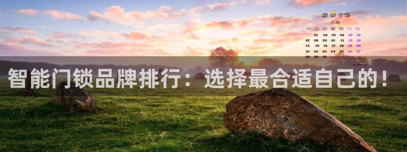 开丰娱乐天7O667：智能门锁品牌排行：选择最合适自己的！