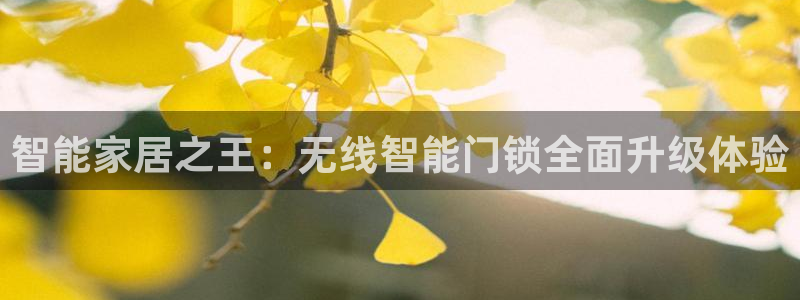 开丰娱乐违法吗：智能家居之王：无线智能门锁全面升级体验