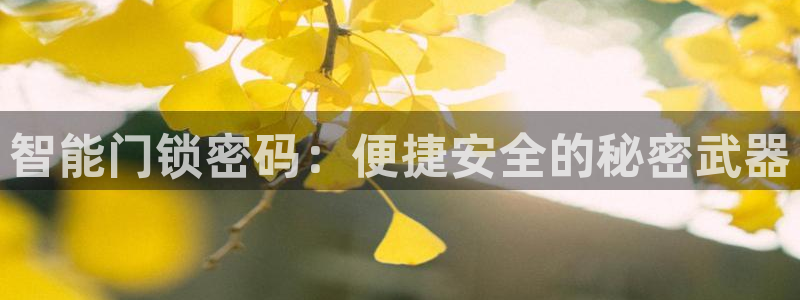 开丰娱乐违法吗：智能门锁密码：便捷安全的秘密武器