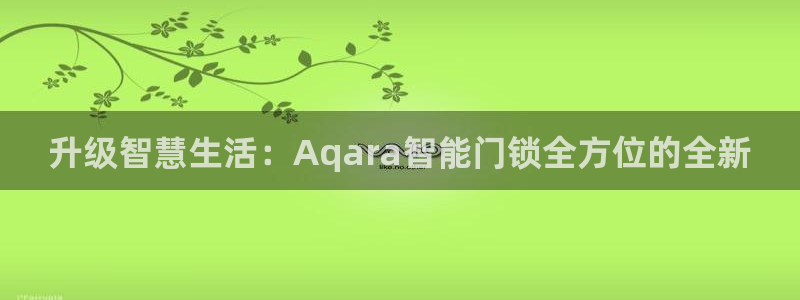 开丰娱乐注册登录不了：升级智慧生活：Aqara智能门锁全方位