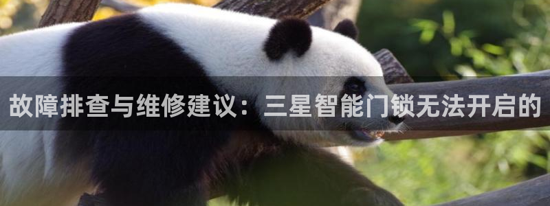 开丰娱乐姜333OO：故障排查与维修建议：三星智能门锁无法开