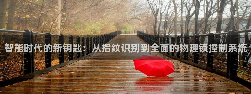 圩丰刚开的娱乐场所：智能时代的新钥匙：从指纹识别到全面的物理