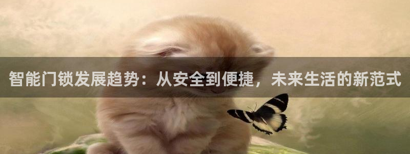 开丰娱乐上：智能门锁发展趋势：从安全到便捷，未来生活的新范式