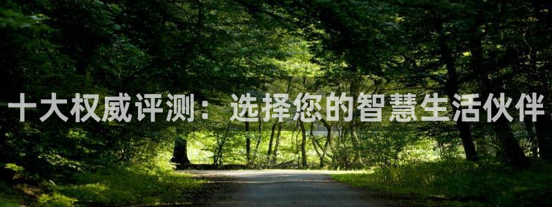 开丰娱乐下7O667：十大权威评测：选择您的智慧生活伙伴