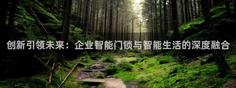 开丰娱乐注册登录：创新引领未来：企业智能门锁与智能生活的深度