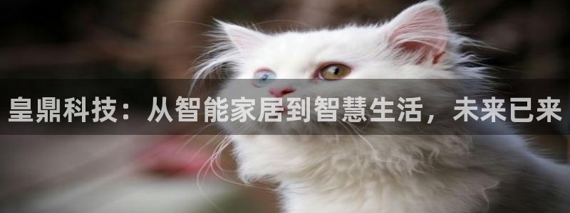 开丰娱乐登录官方网站：皇鼎科技：从智能家居到智慧生活，未来已