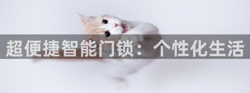 开丰娱乐平台官网网址：超便捷智能门锁：个性化生活