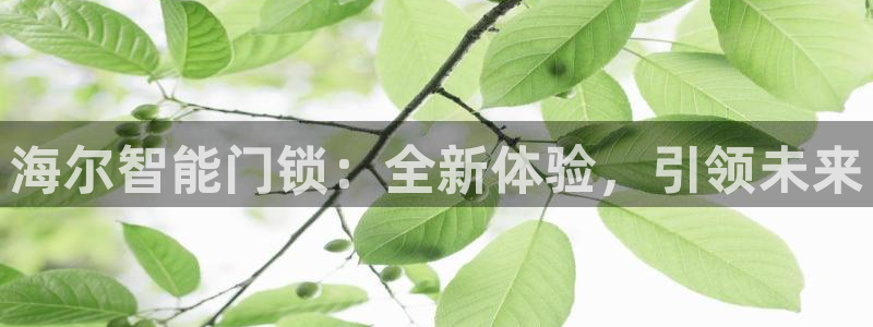开丰娱乐网站官网首页：海尔智能门锁：全新体验，引领未来