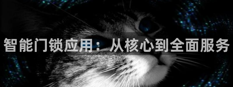 开丰娱乐：智能门锁应用：从核心到全面服务
