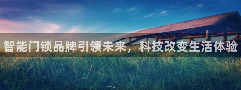 开丰娱乐主管：智能门锁品牌引领未来，科技改变生活体验