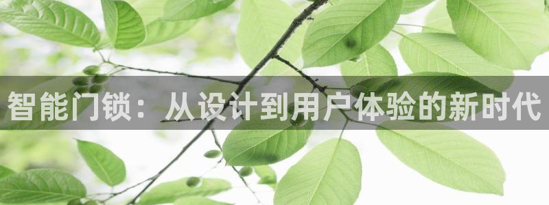 开丰娱乐注册资金多少：智能门锁：从设计到用户体验的新时代