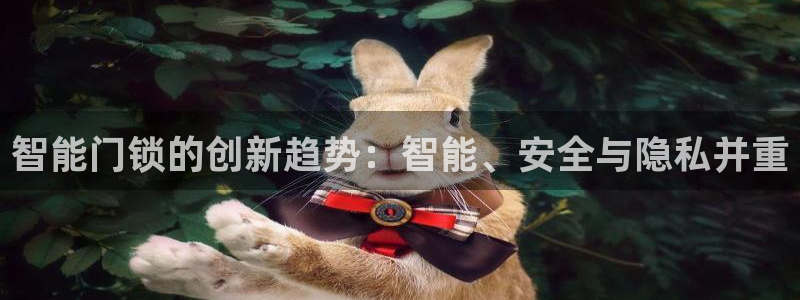开丰娱乐 赢咖一：智能门锁的创新趋势：智能、安全与隐私并重