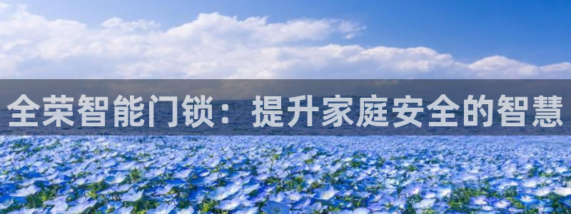 开丰娱乐主管：全荣智能门锁：提升家庭安全的智慧