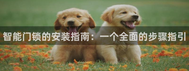 开丰娱乐官网电话：智能门锁的安装指南：一个全面的步骤指引