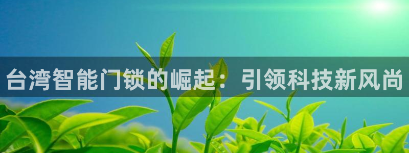 开丰娱乐网站：台湾智能门锁的崛起：引领科技新风尚