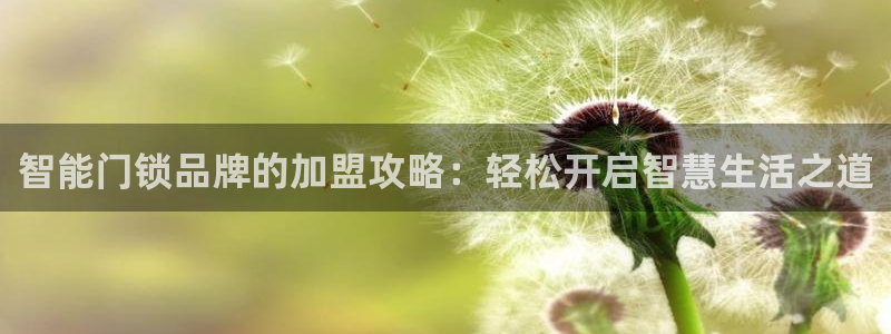 开丰娱乐官网平台下载：智能门锁品牌的加盟攻略：轻松开启智慧生