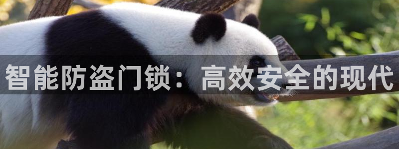 开丰娱乐登入地址在哪里：智能防盗门锁：高效安全的现代