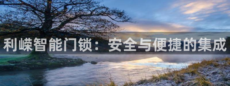 开丰娱乐app：利嵘智能门锁：安全与便捷的集成