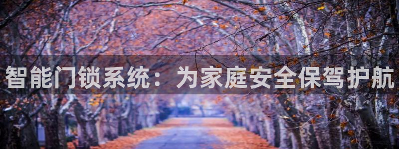 开丰娱乐网站：智能门锁系统：为家庭安全保驾护航