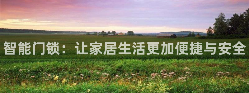 开丰娱乐登入地址在哪：智能门锁：让家居生活更加便捷与安全
