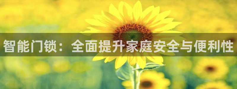 开丰娱乐官网登录网址：智能门锁：全面提升家庭安全与便利性