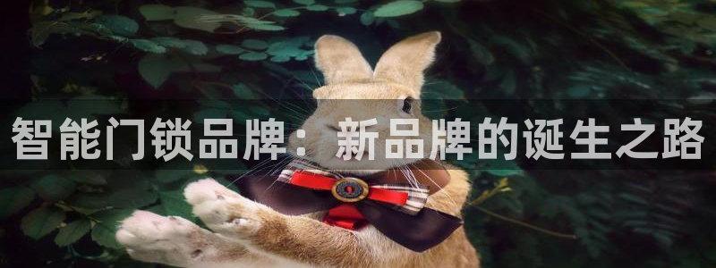 开丰娱乐登入地址在哪儿：智能门锁品牌：新品牌的诞生之路