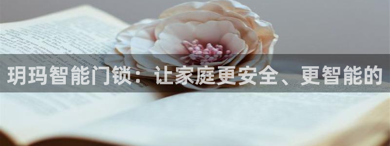 开丰娱乐前：玥玛智能门锁：让家庭更安全、更智能的