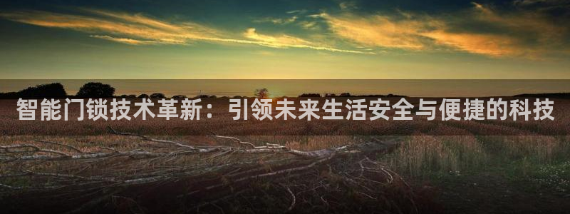 开丰娱乐平台地址在哪里：智能门锁技术革新：引领未来生活安全与