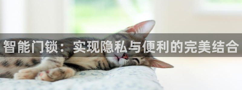 开丰娱乐登入地址在哪查：智能门锁：实现隐私与便利的完美结合