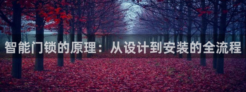 开丰娱乐会员中心